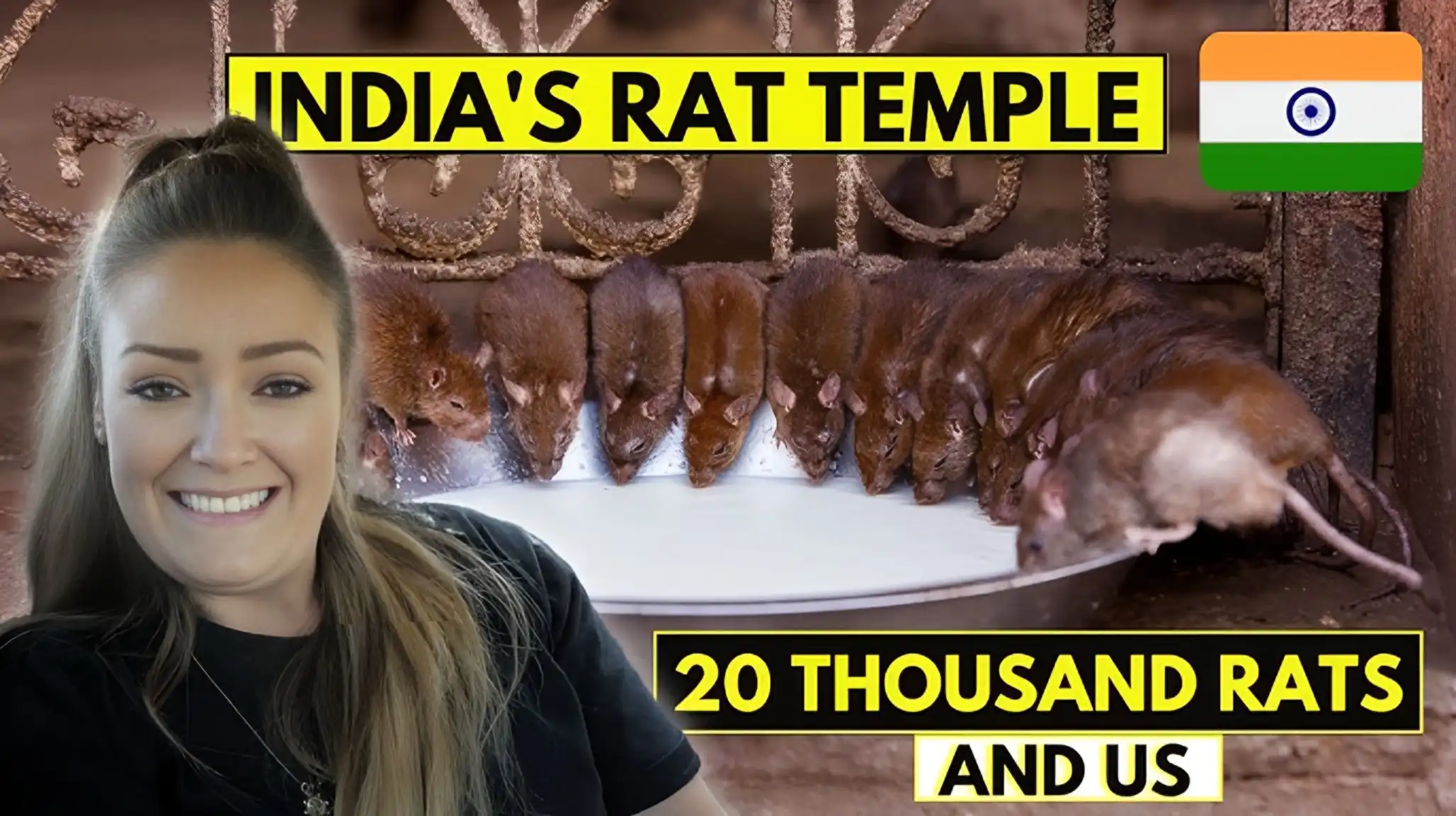 The Temple of Rats in India
