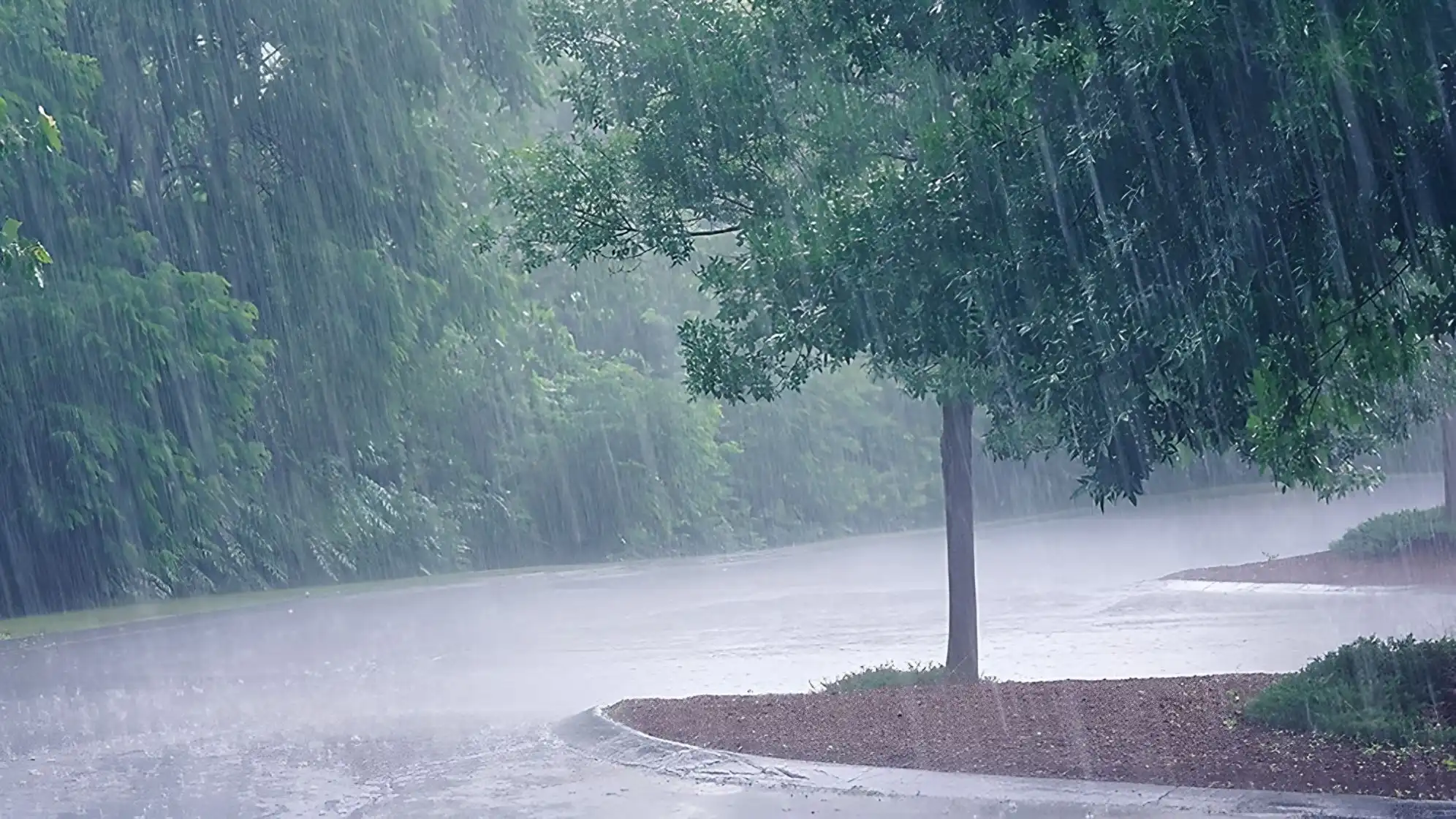 Heavy Rain and Coastal Gusts: Met Éireann 02/06/2025